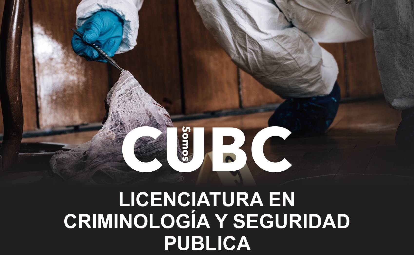 Licenciatura en Criminología y Seguridad Pública